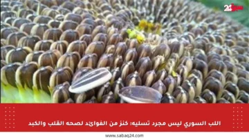 اللب السوري ليس مجرد تسلية: كنز من الفوائد لصحة القلب والكبد